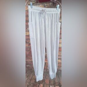 MEDIUM Offline by Aerie After Party Velour Joggers in Silver